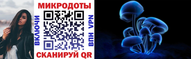Псилоцибиновые грибы мицелий  Купить  Дорогобуж 